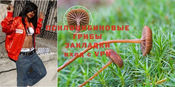 а пвп мука Приозерск