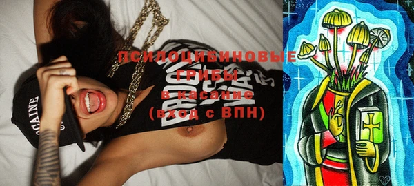 крисы Вуктыл