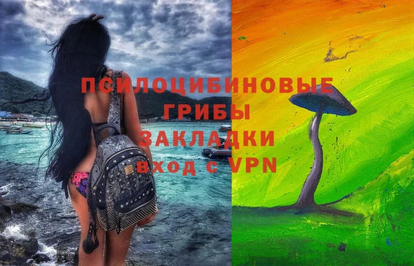 молекула духа Протвино