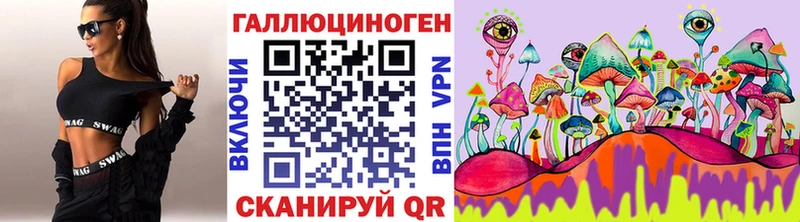 закладка Краснодар Псилоцибиновые грибы Psilocybine cubensis